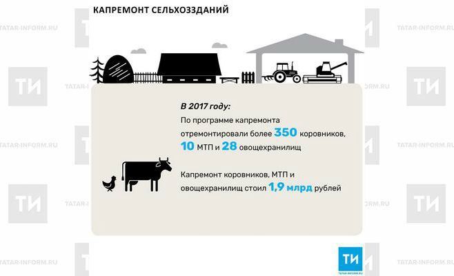 В 2017 году в Татарстане отремонтировали почти 30 овощехранилищ